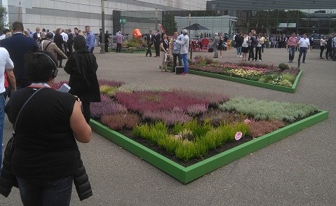 Wyjazdy na targi ogrodnicze i meblarskie