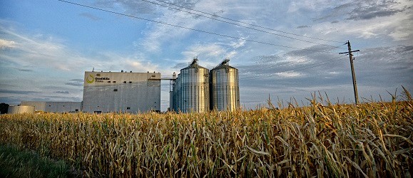 Jak rozwija się branża spożywcza?
