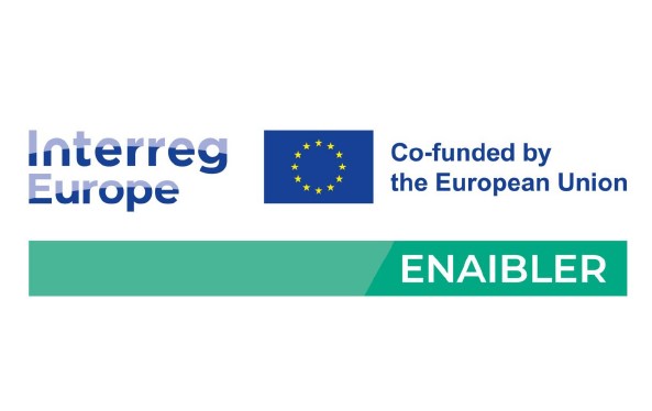 Enaibler – Enabling AI-driven public sector