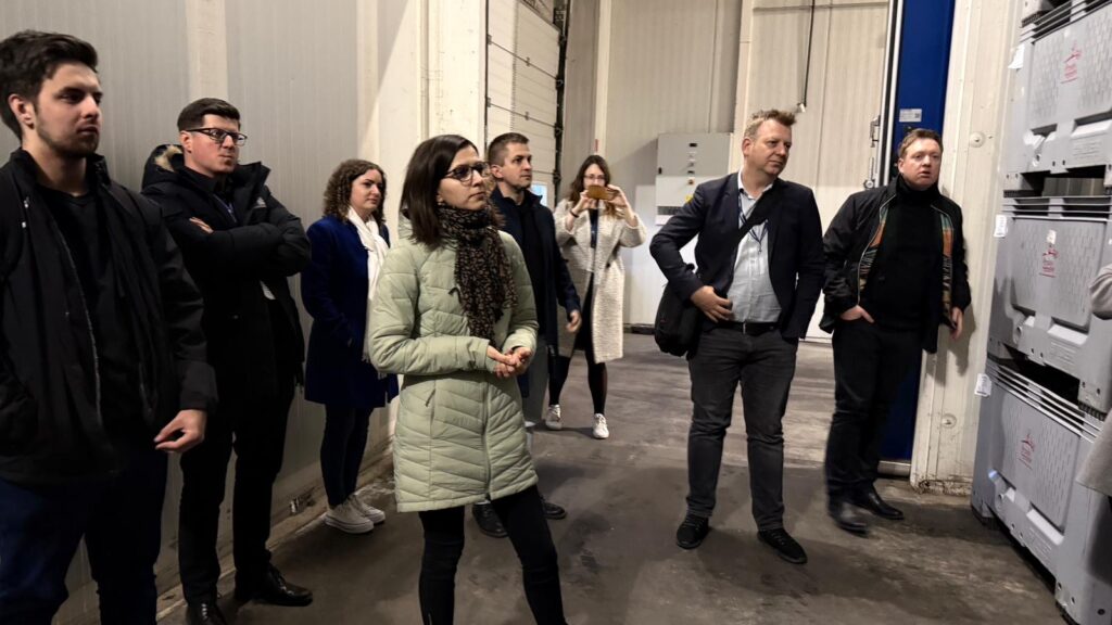 Uczestnicy spotkania w ramach projektu Brand4Talents podczas warsztatów.